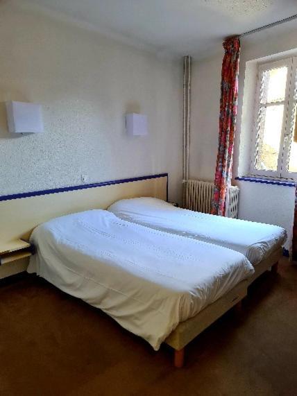 Hotel Des Roches Saint-Flour  Ngoại thất bức ảnh